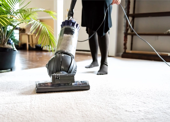 Daily-Carpet-Care (3) Carpet Cleaning | In and Out Flooring